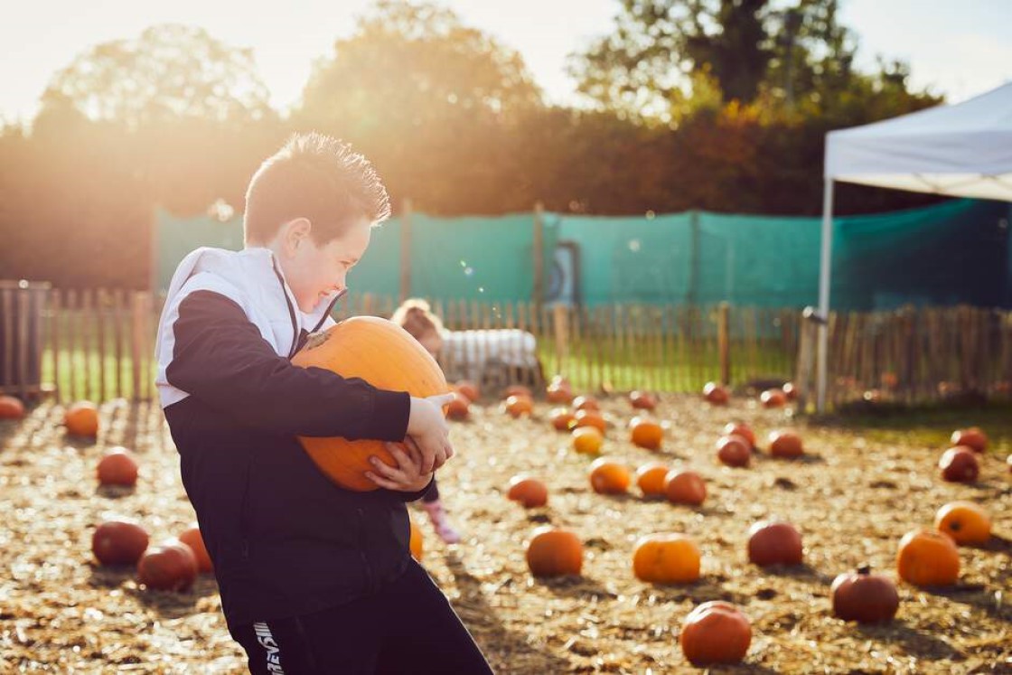 Halloween Mid-Term Breaks in the Boyne Valley