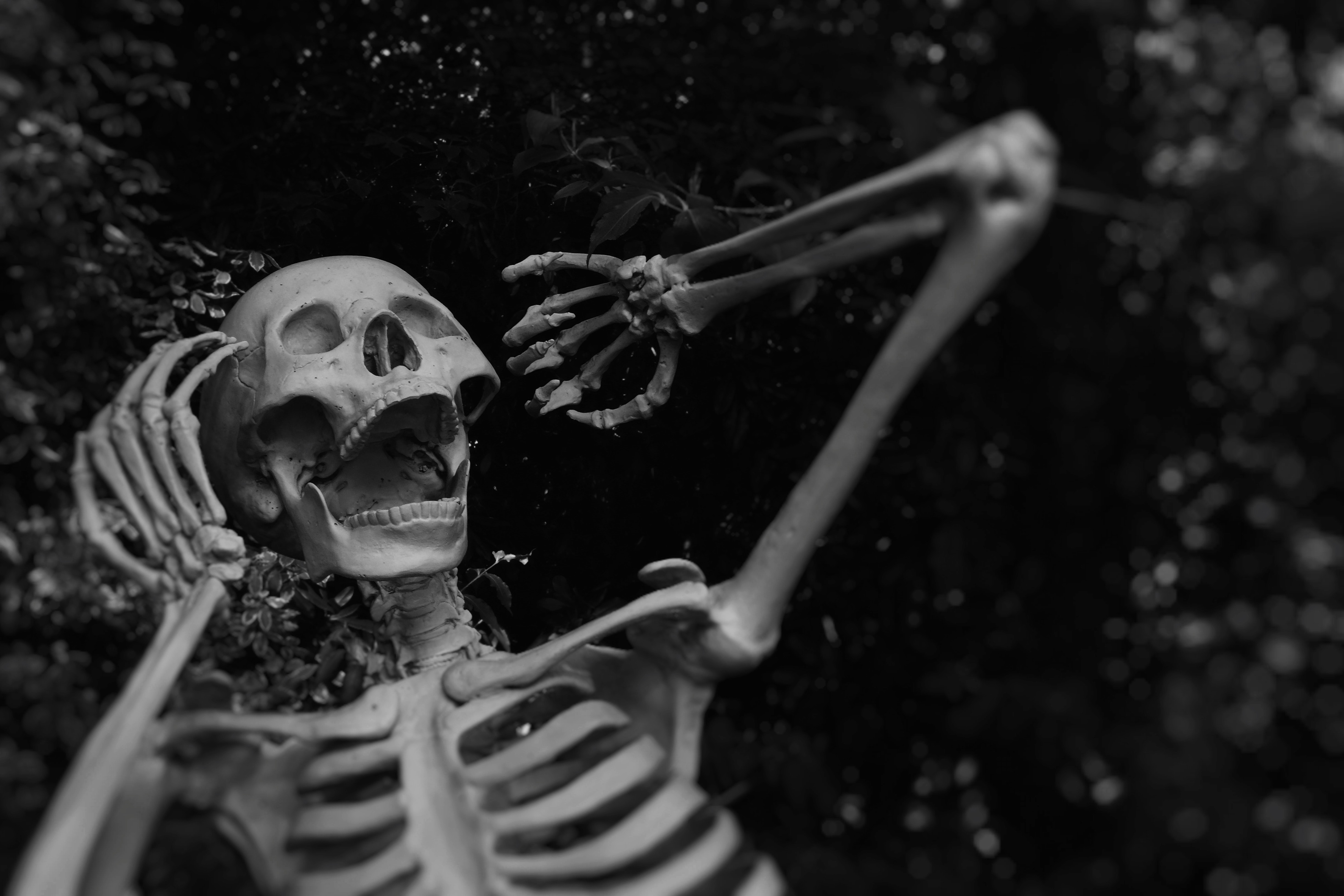 Boyne Valley this Halloween