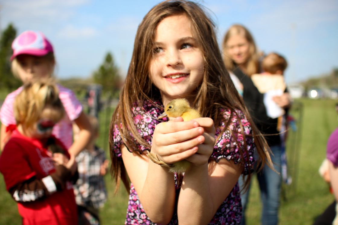Family Easter Activities in the Boyne Valley