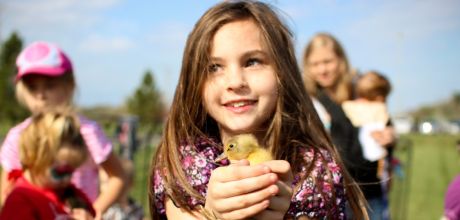 Family Easter Activities in the Boyne Valley