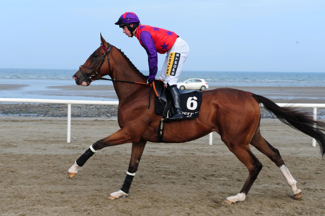 Laytown Races