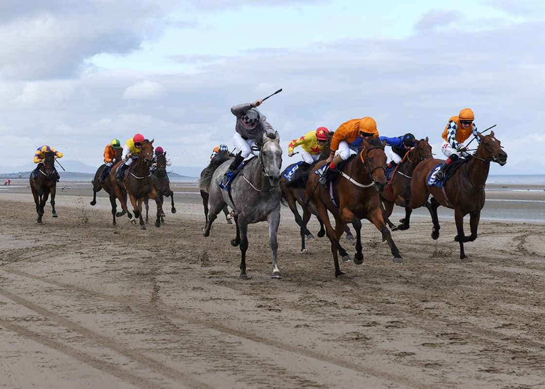 Laytown Races