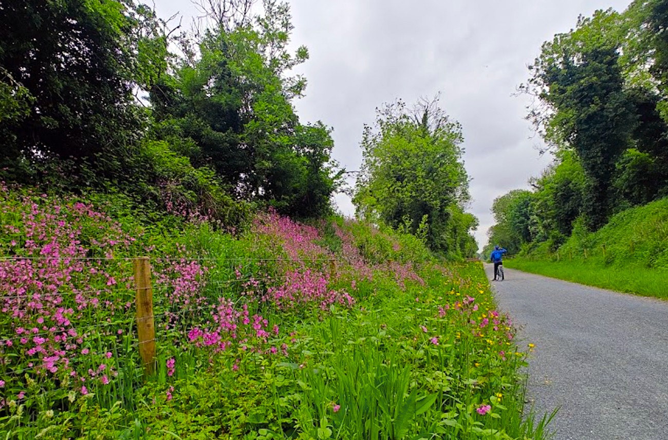 Biodiversity walk