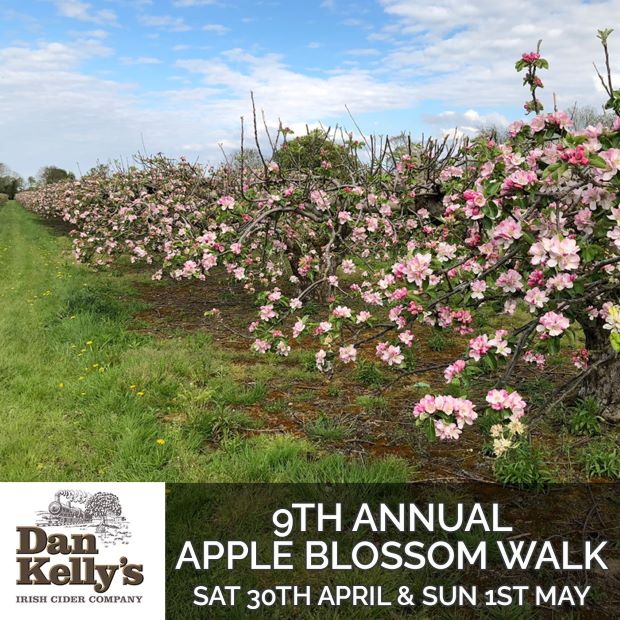 9th Annual Apple Blossom Walk