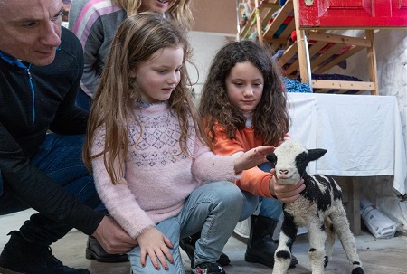 Boyne Wool
