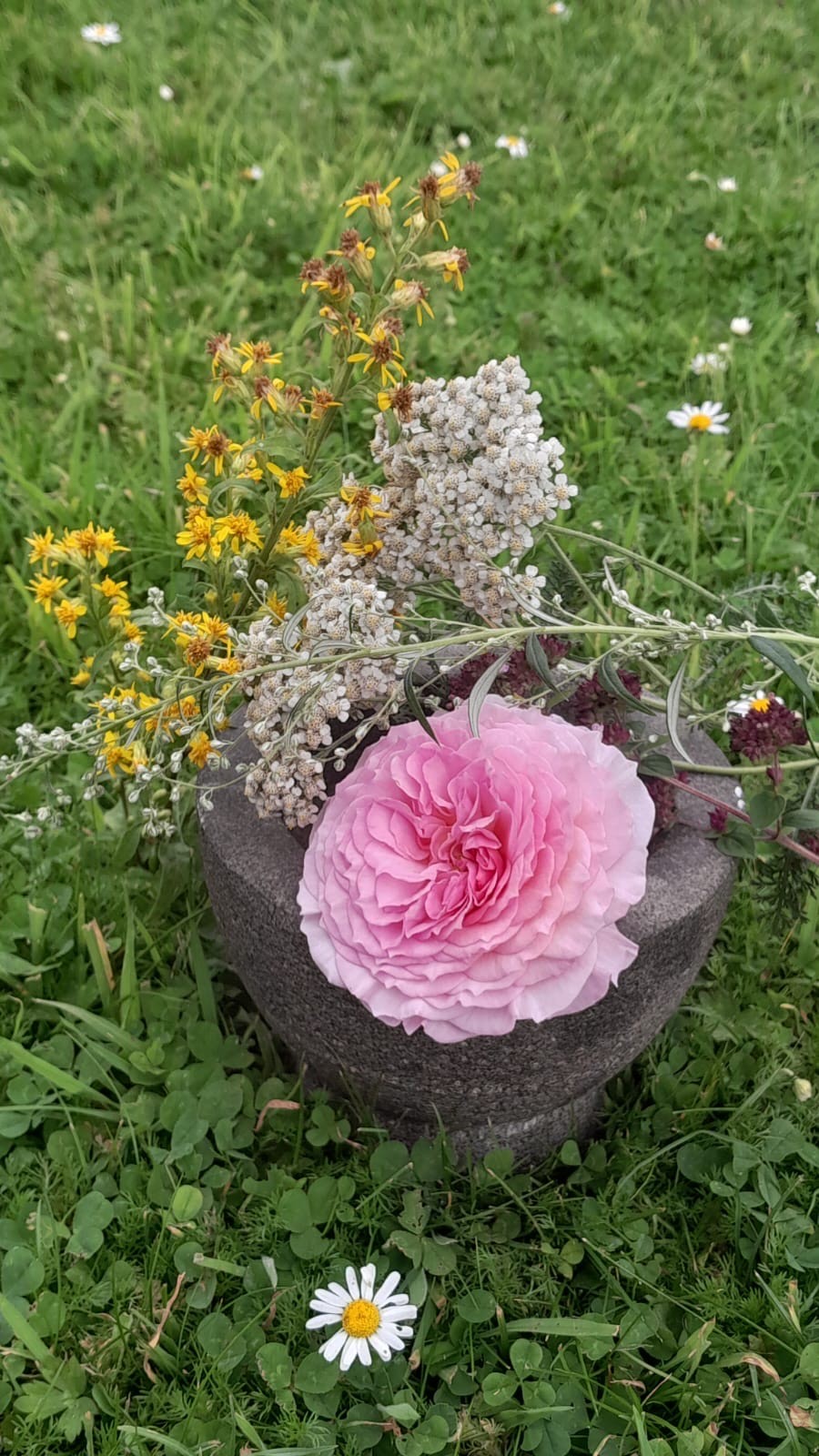 Castletownmoor Organic Farm