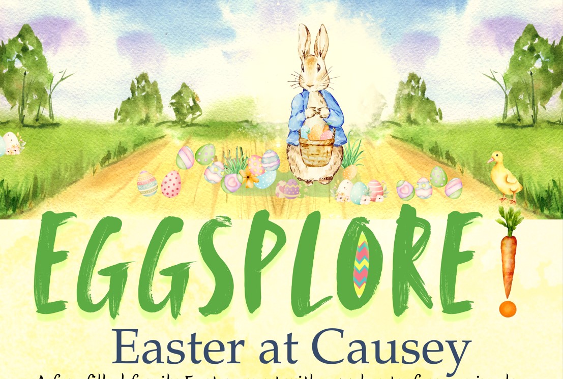 Eggsplore