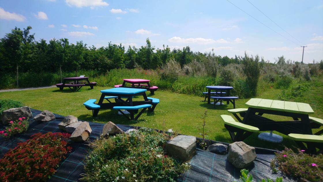 BeeWise picnic tables