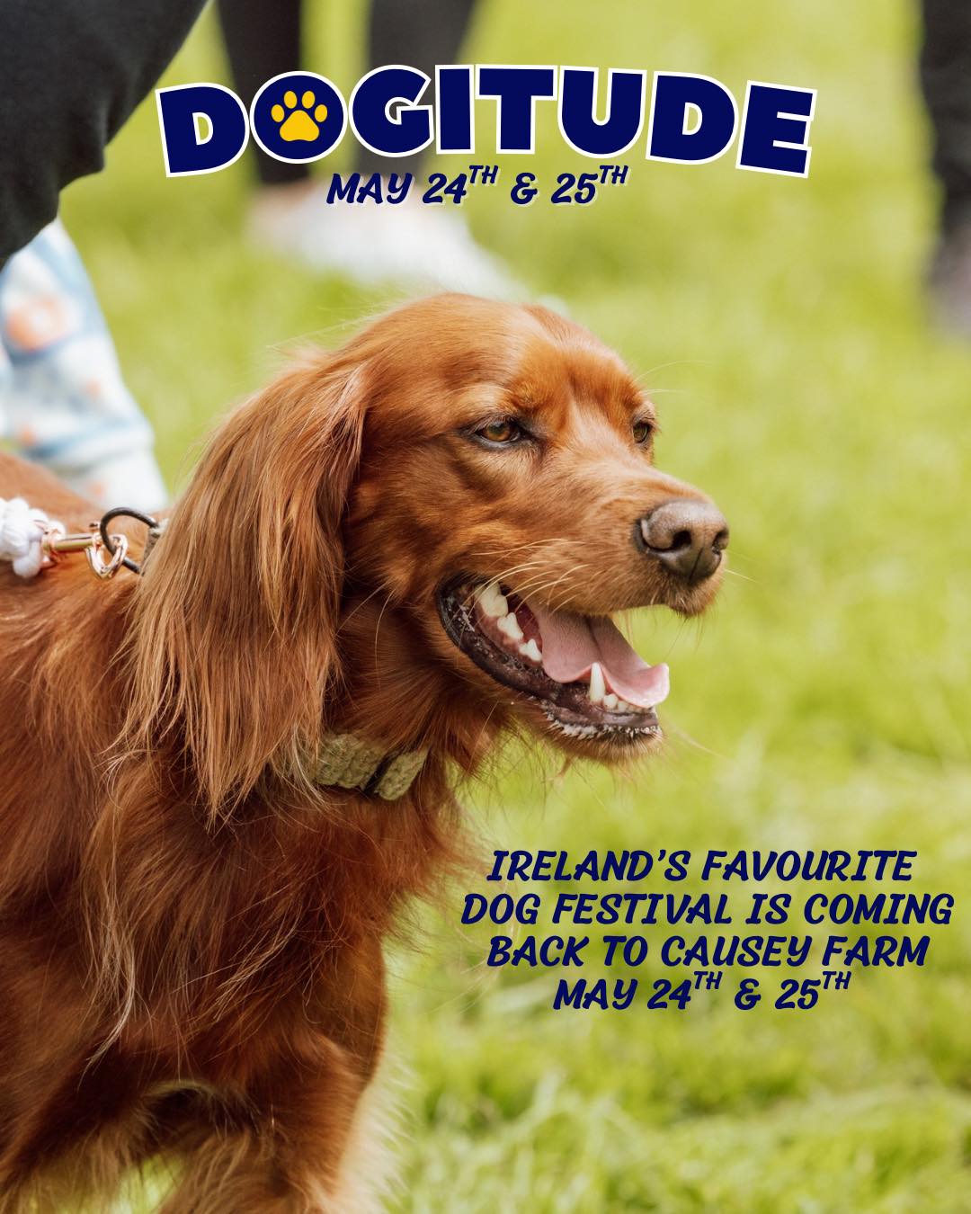 Dogitude