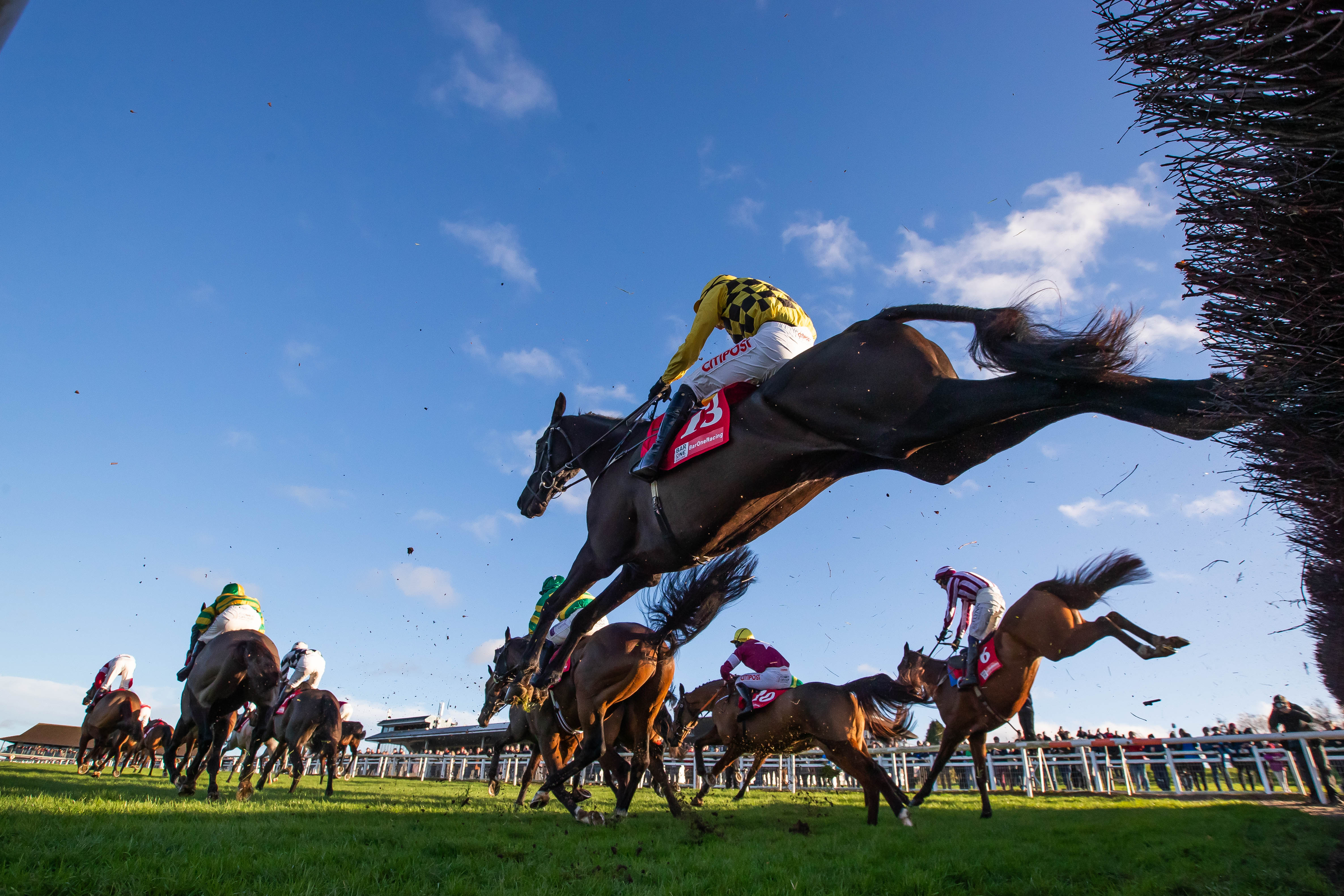 Navan Racing Festival