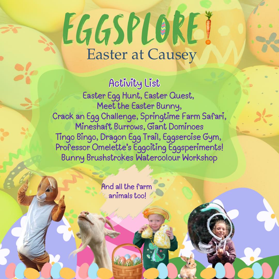 Eggsplore