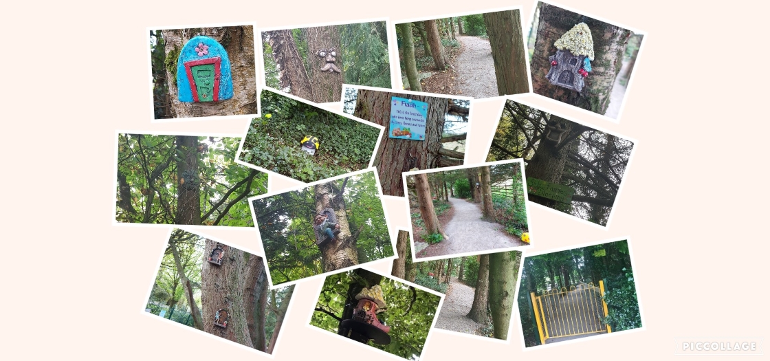 Enfield Fairy Trail