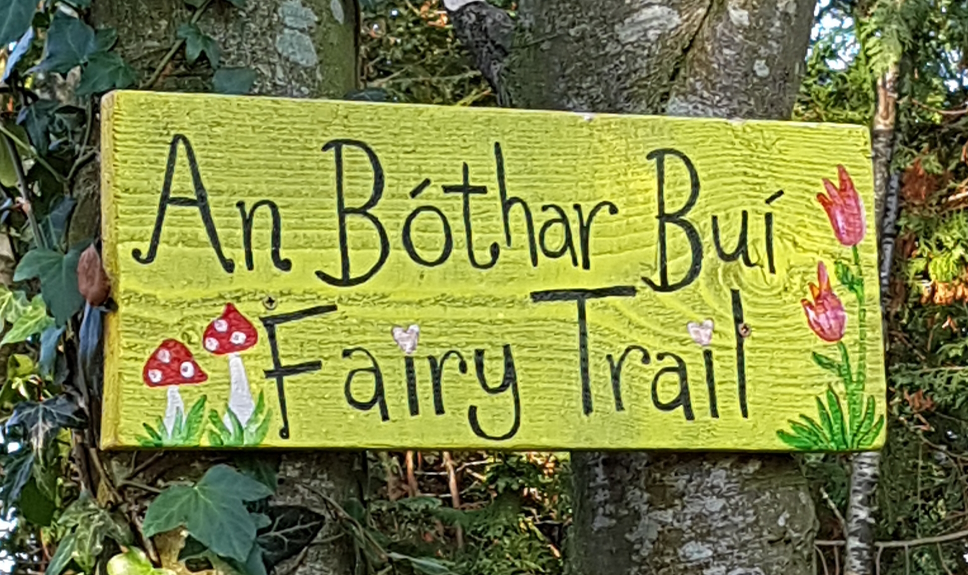 Enfield Fairy Trail