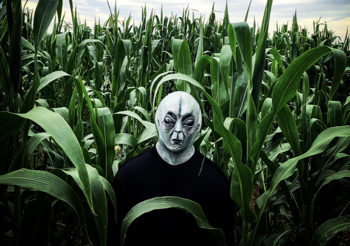 farmaphobia