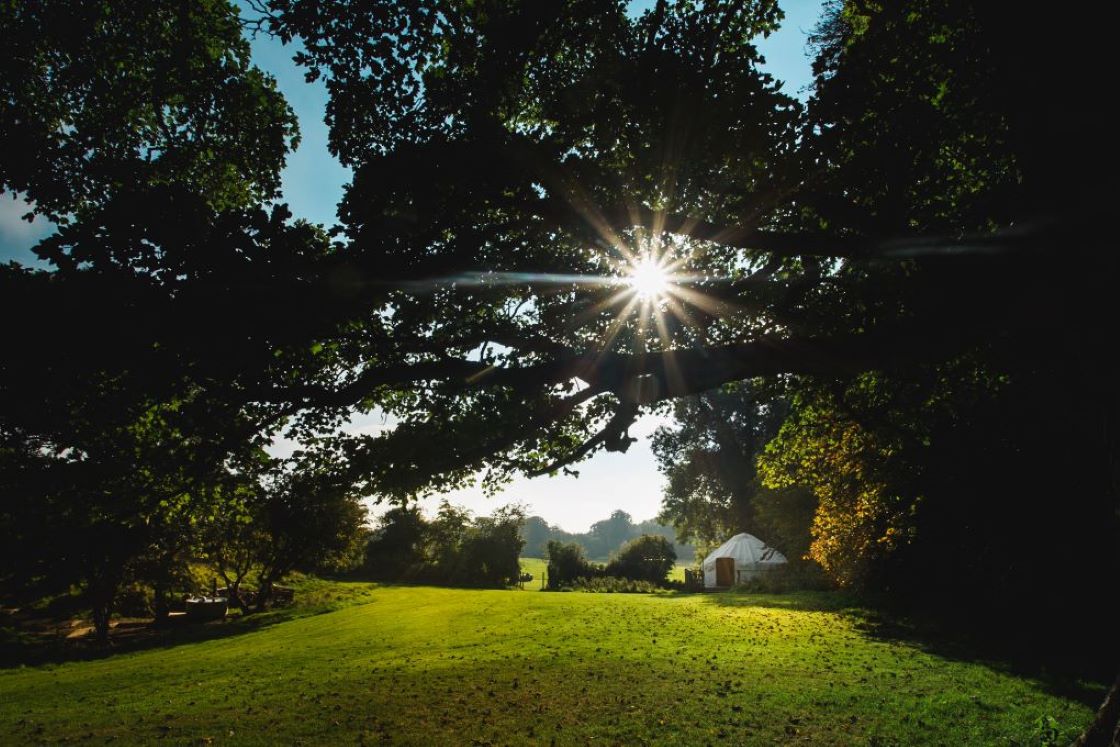 Glamping at Rock Farm Slane