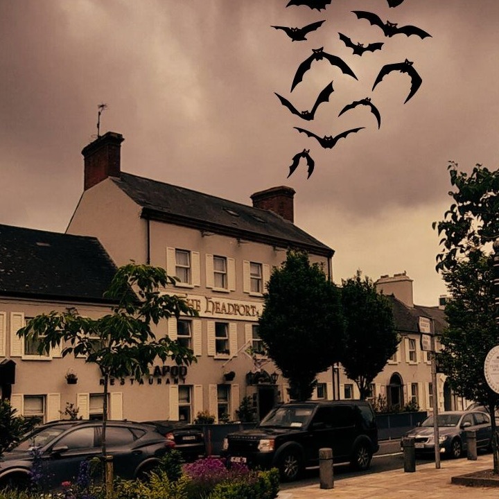 Headfort Arms Hotel