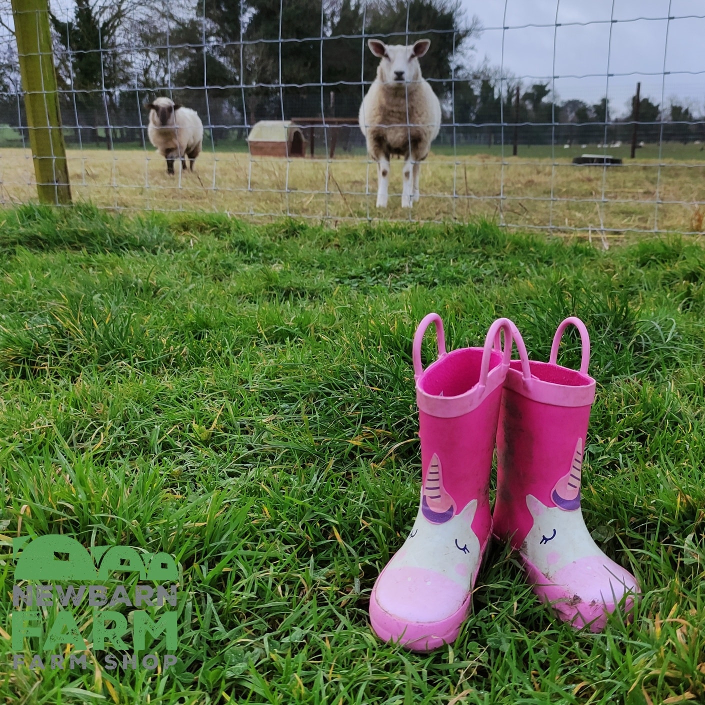 Newbarn Farm Shop