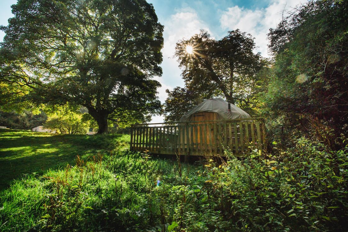 Luxury Yurts nestled in the forest at Rock Farm Slane