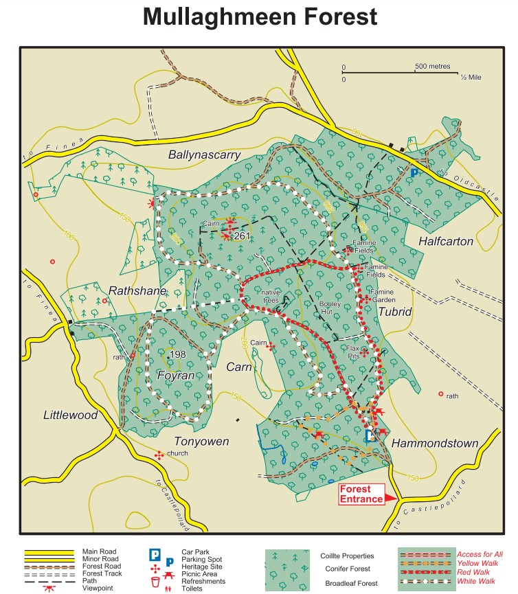 Mullaghmeen Forest Walk