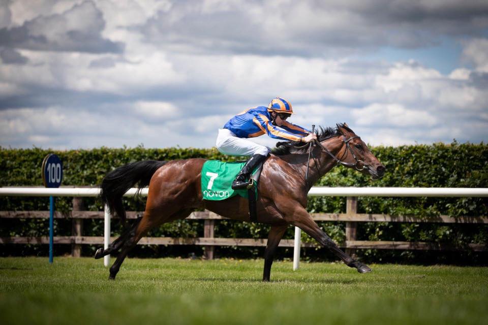Navan