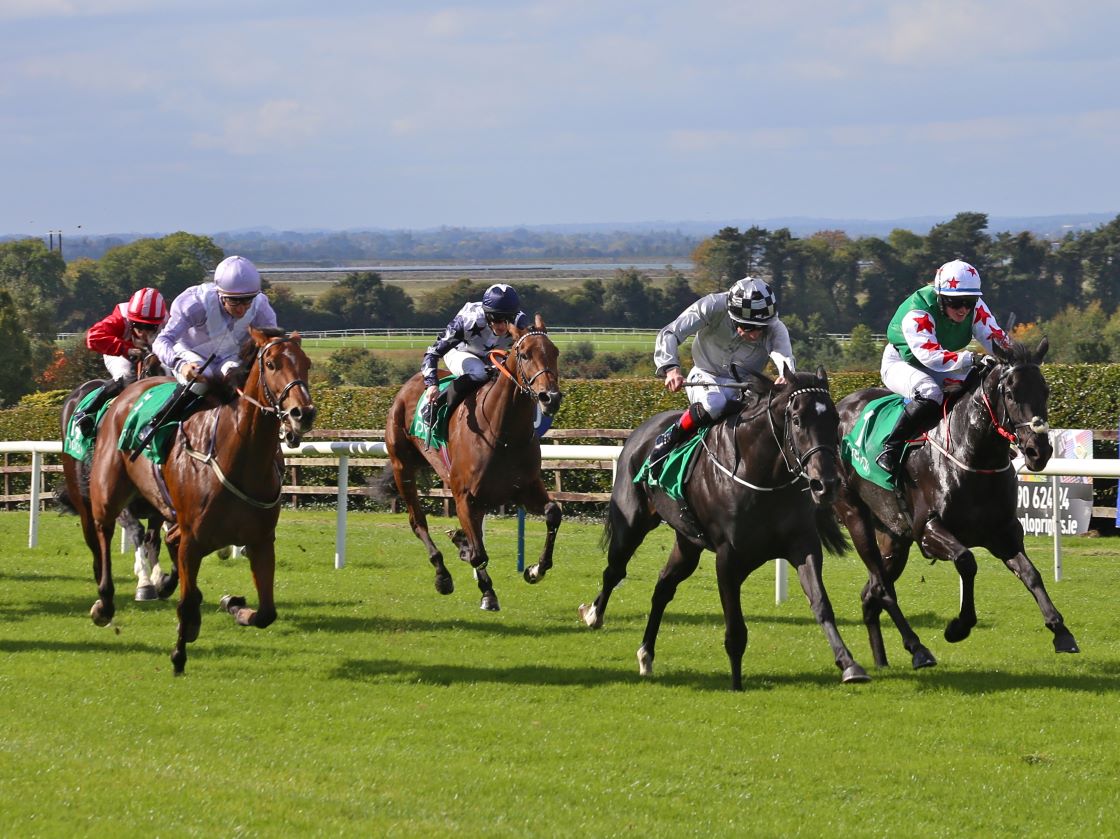 Horses racing at Navan Racecourse