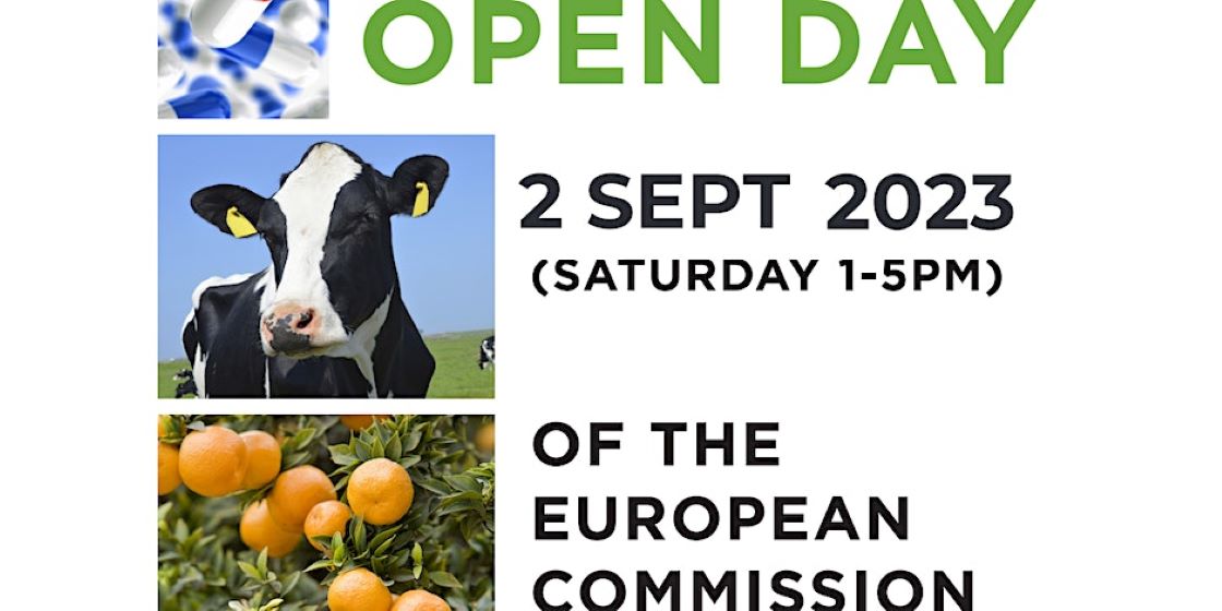 Open Day at the Office of the European Commission