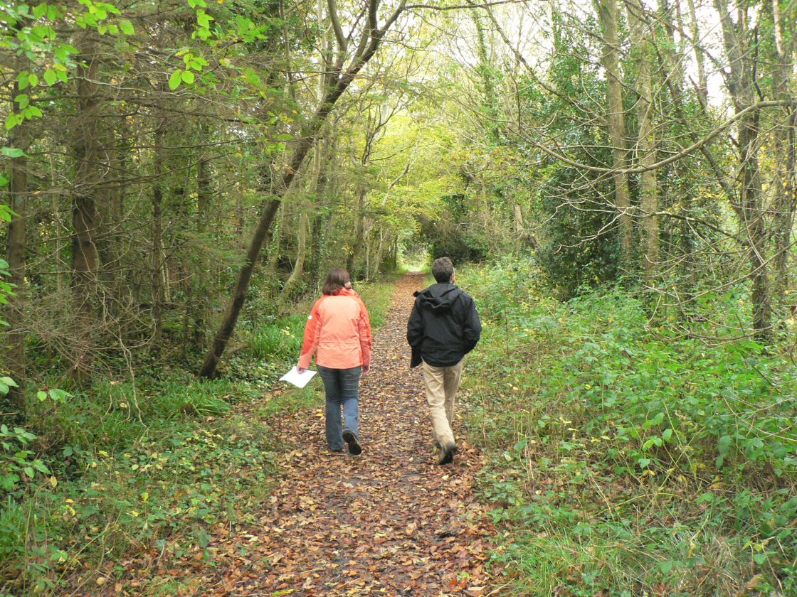 Littlewood Forest