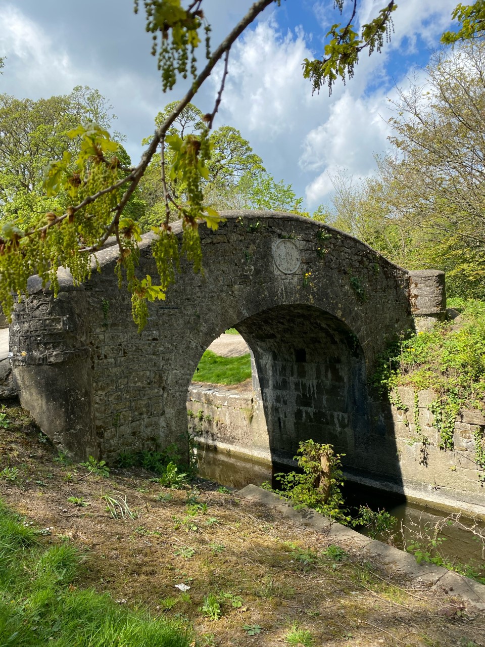Ramparts 3