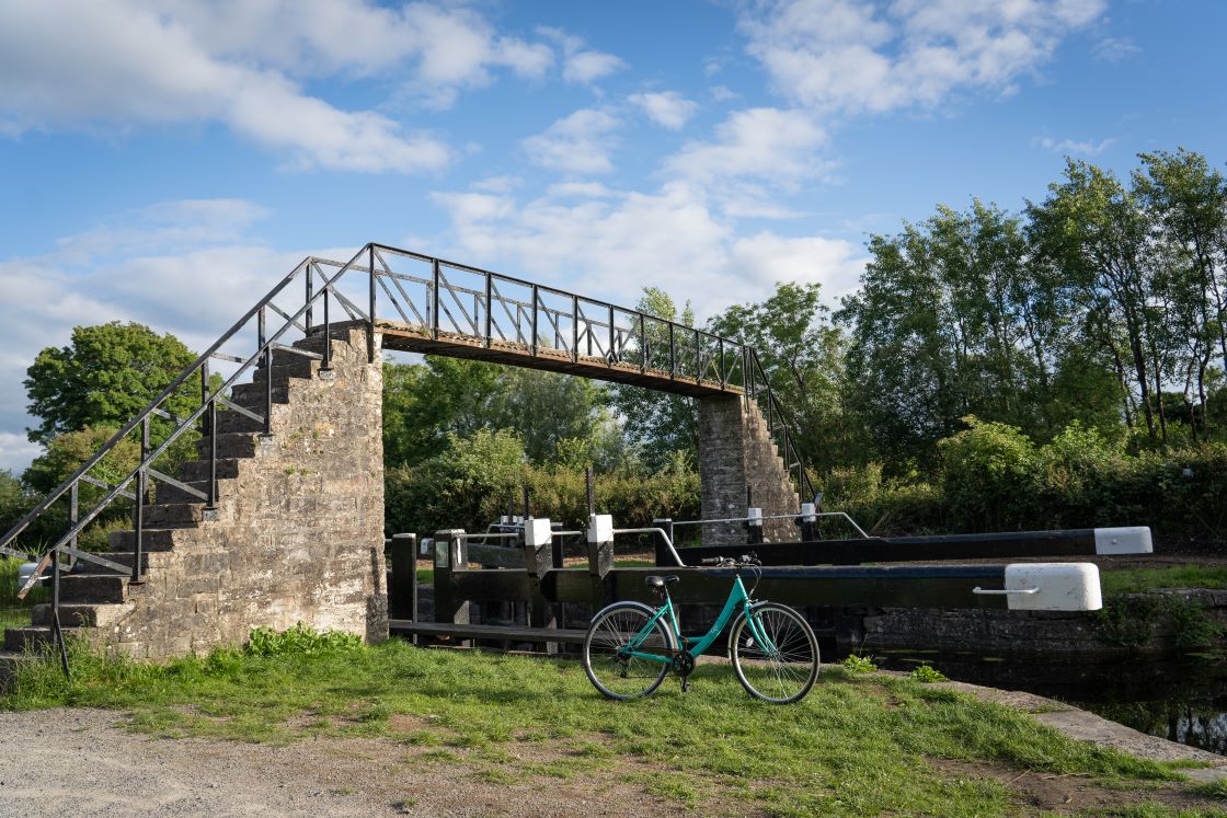 Ribbontail Bridge Longwood