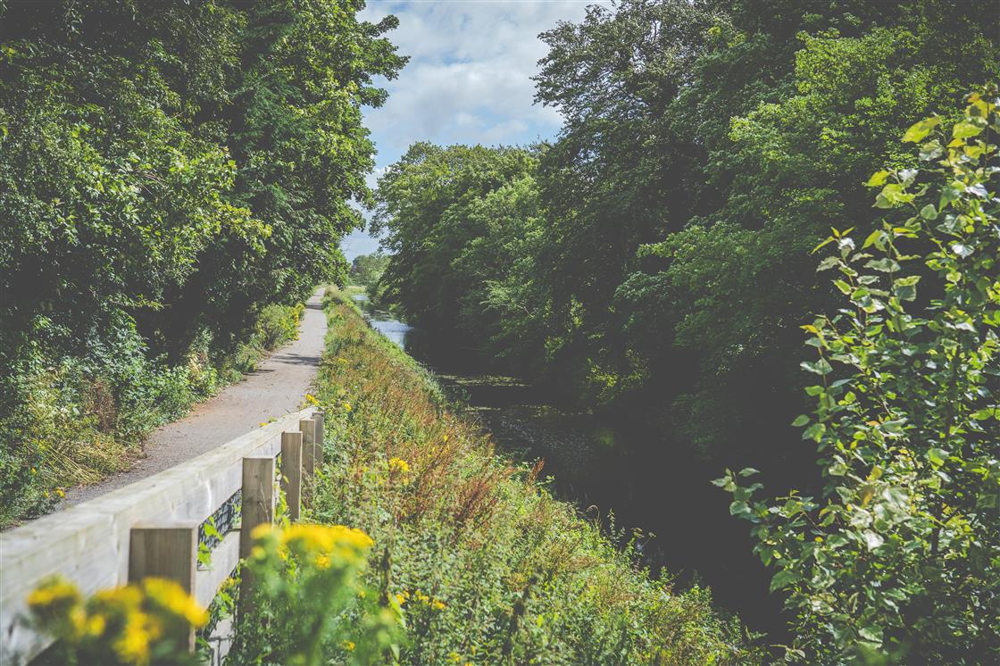 Royal Canal at Enfield