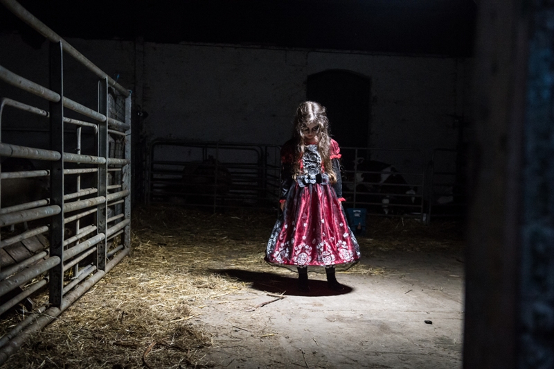 Spirits of Meath