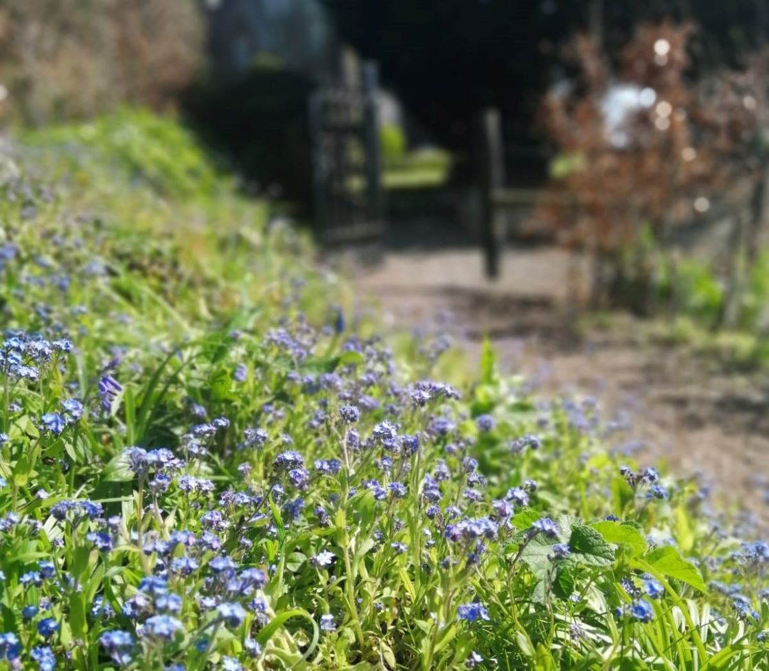 Teltown House Garden