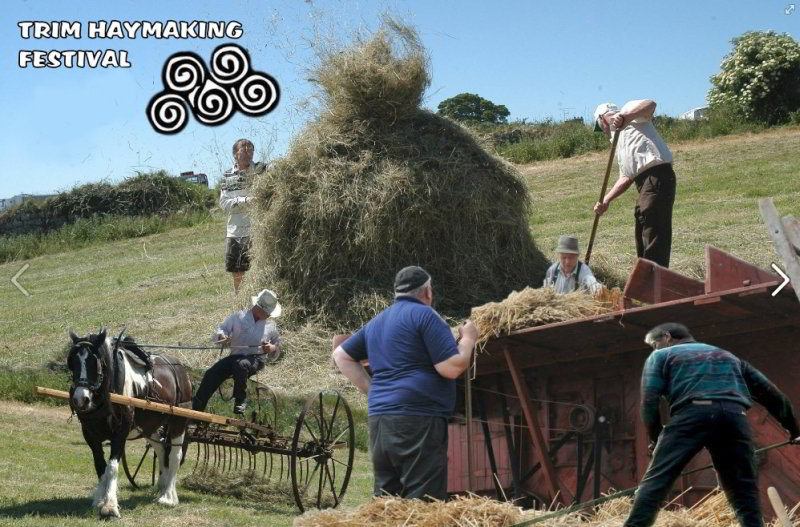 Trim Haymaking