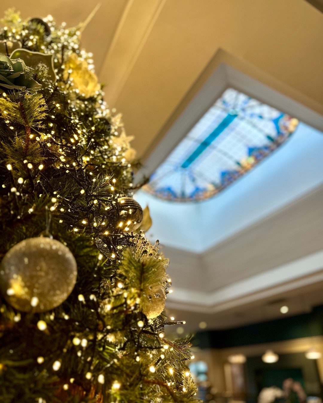 Ardboyne Hotel