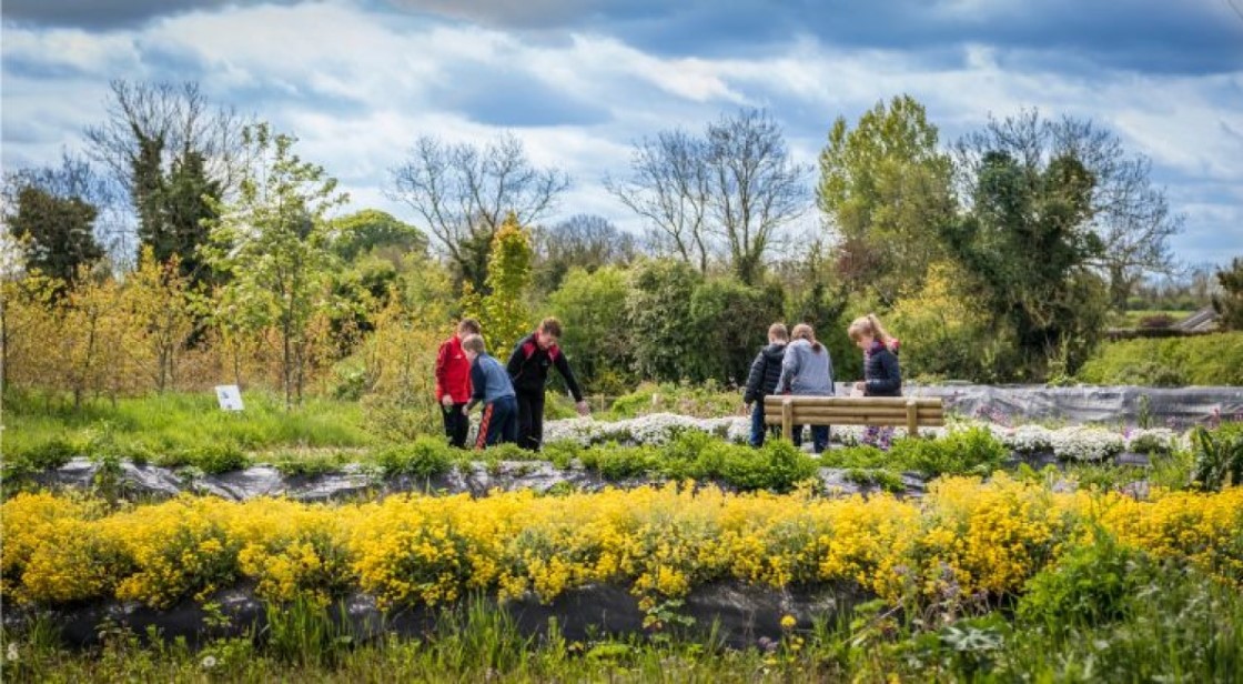 Beewise Nature Trail