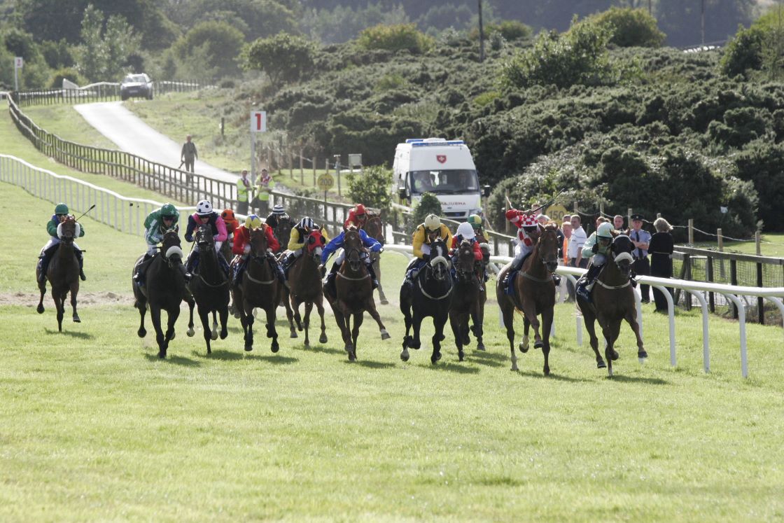 Horses racing at Bellewtown Racecourse