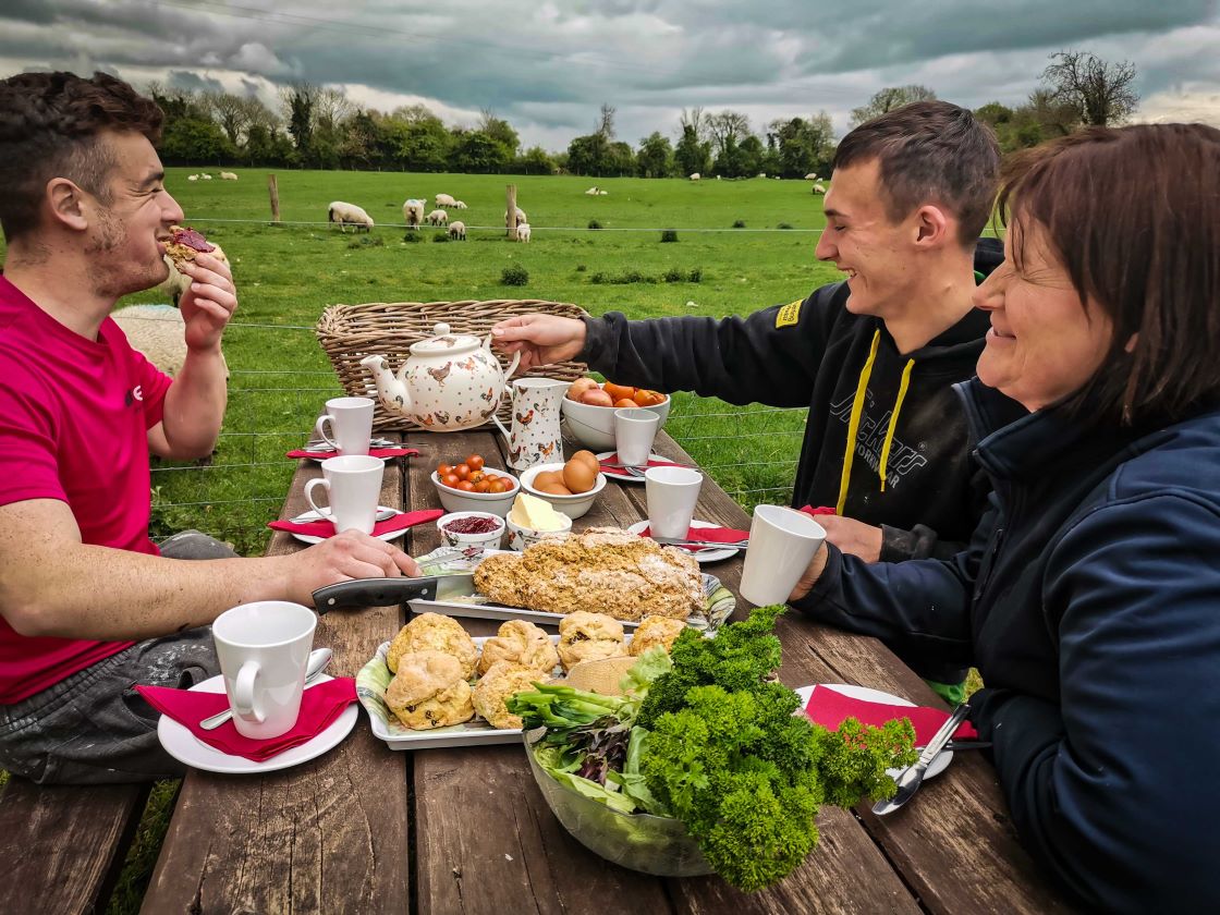 Picnic at Causey Farm