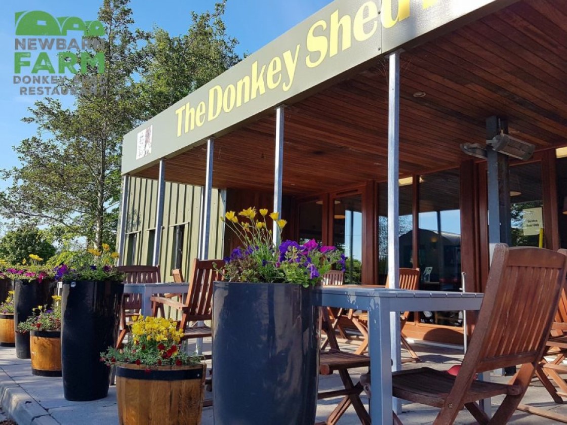 donkey shed