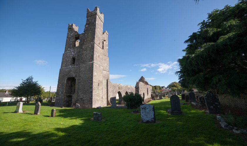 Duleek Abbey Image