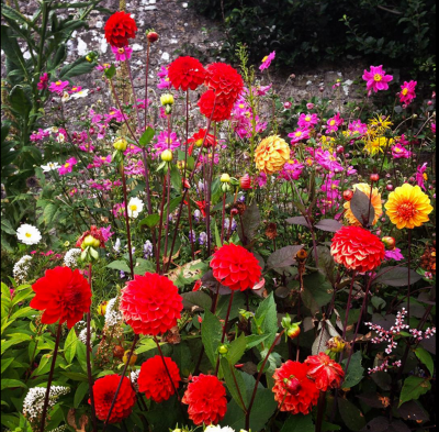 Loughcrew Gardens