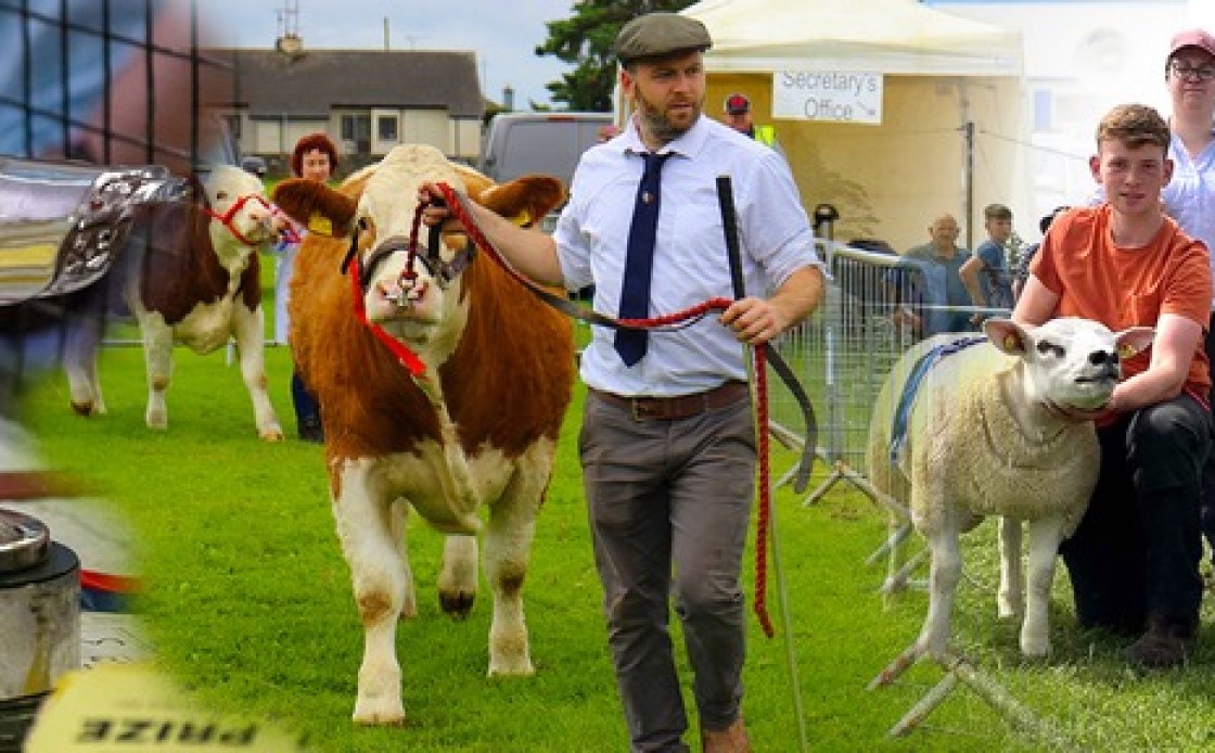 Oldbridge Agri show 