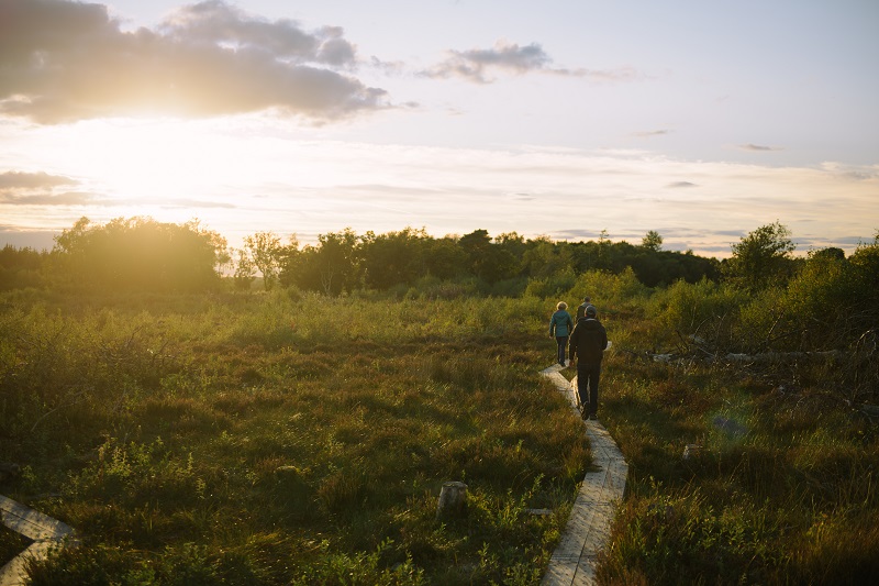 Rediscover Well-Being in the Boyne Valley8