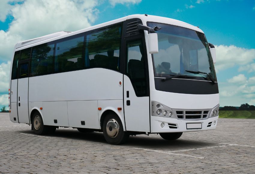 bus