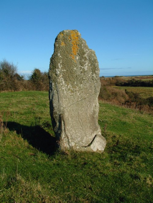 Standing Stones Baltray Image