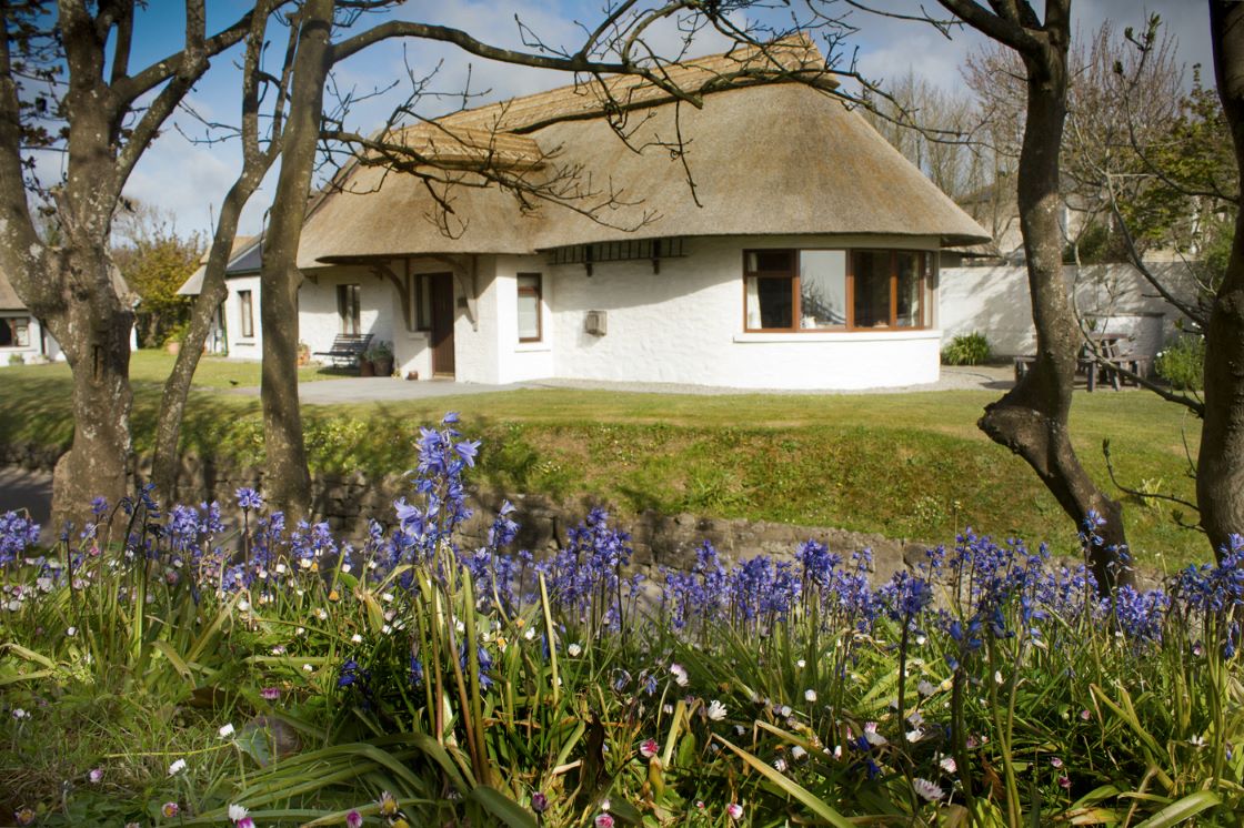 The Thatcher's Rest Cottage