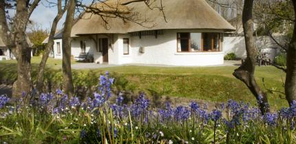 The Thatcher's Rest Cottage
