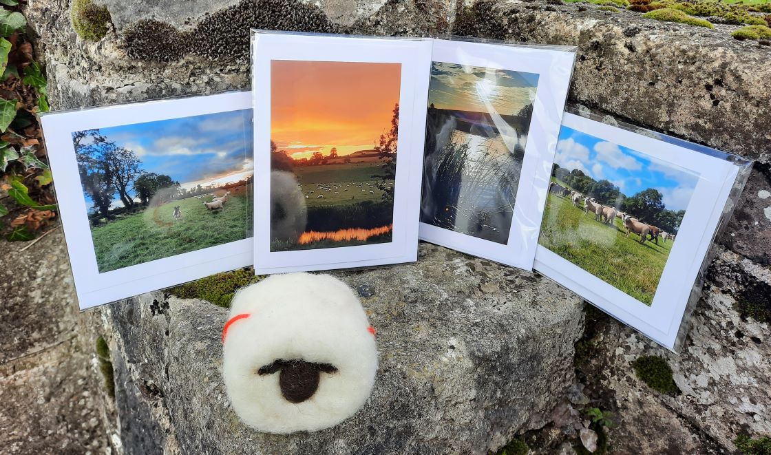 knowth tour exhibition