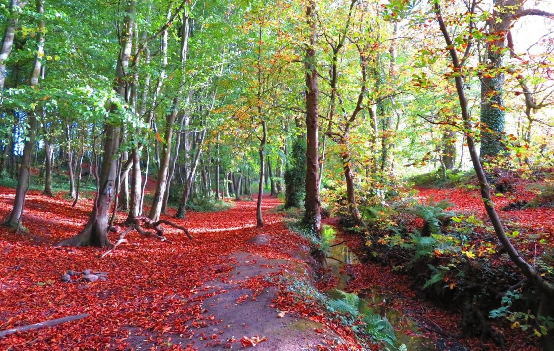 Boyne Valley Trails 2